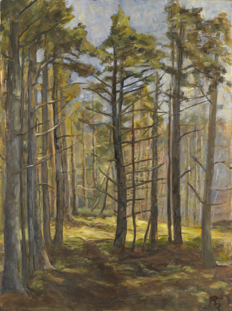 morning-forest-oil-on-canvas-2005-30-x-40.jpg